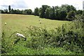 Field by Fieldgate Lane, Whitnash