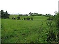 Skreen Townland