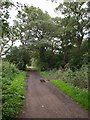 Path at Kingston Vale