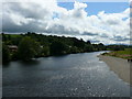 Afon Gwy / River Wye