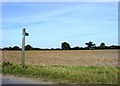 Footpath No.15 over the Fields