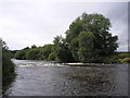 Salmon Cauld on the River Teviot