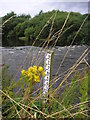 Water Level Gauge, River Teviot