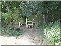 Stile entering small copse near Burton Park