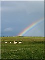 Passing shower, Tabost