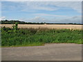 Blunsdon fields, from Front Lane