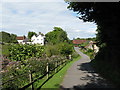 Overview of Duncton Mill Fishery