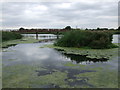 Dorney Wetlands