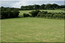 T1356 : Rolling farmland south of Gorey by Simon Mortimer