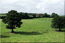 T1155 : Farmland west of Clogh by Simon Mortimer