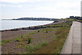 Beach near Studd Hill