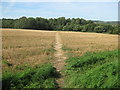 Footpath to Running Water Plantation