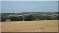 View of Wye Downs