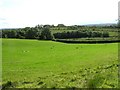 Tattycor Townland