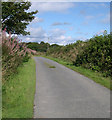 Road past Rhyderwen Farm