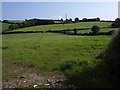 Hillside near Smithaleigh