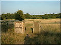 Footpath, Knettishall Heath