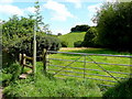 Footpath to Shapridge