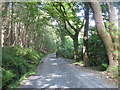 Forest road above the Greenhill YMCA centre, Newcastle