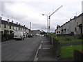 Crane, Hospital Road Community Centre