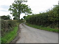 Lane To Lever Hill