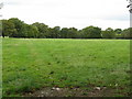 Grassland Near Great Heath