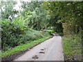 Lane Approaching Great Heath