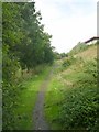 Footpath - Woodlands Country Park - Mill Carr Hill Road