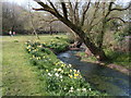 River Thaw in springtime