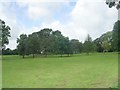 Victoria Park - viewed from Cross Road