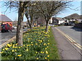 Road from Eastgate to Millfield Drive