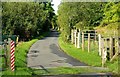 The Castle Island Road near Downpatrick