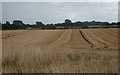 Fields south of Dashes Farm