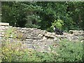 Policy wall, Callendar Park