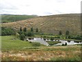 Pond, Lairhope