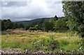 Scrubland at the end of McKelvie Road