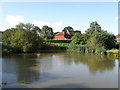 Pond, Ditchling Common Country Park