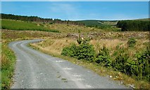 NX3590 : Forestry Road Near Rowantree Toll by Mary and Angus Hogg