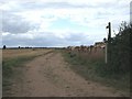 Bridleway, Little Catwick