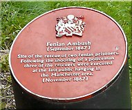 SJ8696 : Fenian Ambush 1867 by Gerald England