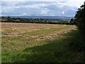 Field near Kingston St Mary