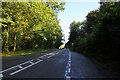 The A40 through Aston Wood