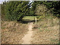 Footbridge leading to picnic area