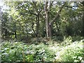 Antonine Wall