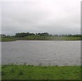 Mealough Reservoir, Carryduff, from the A24