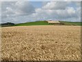 Barley and bale storage