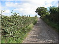 Track near Pollington House