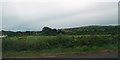 Farmland east of the Castlewellan Road