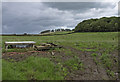 Water Trough, Flemyland