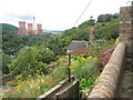 Looking from Hodge Bowers over to the cooling towers